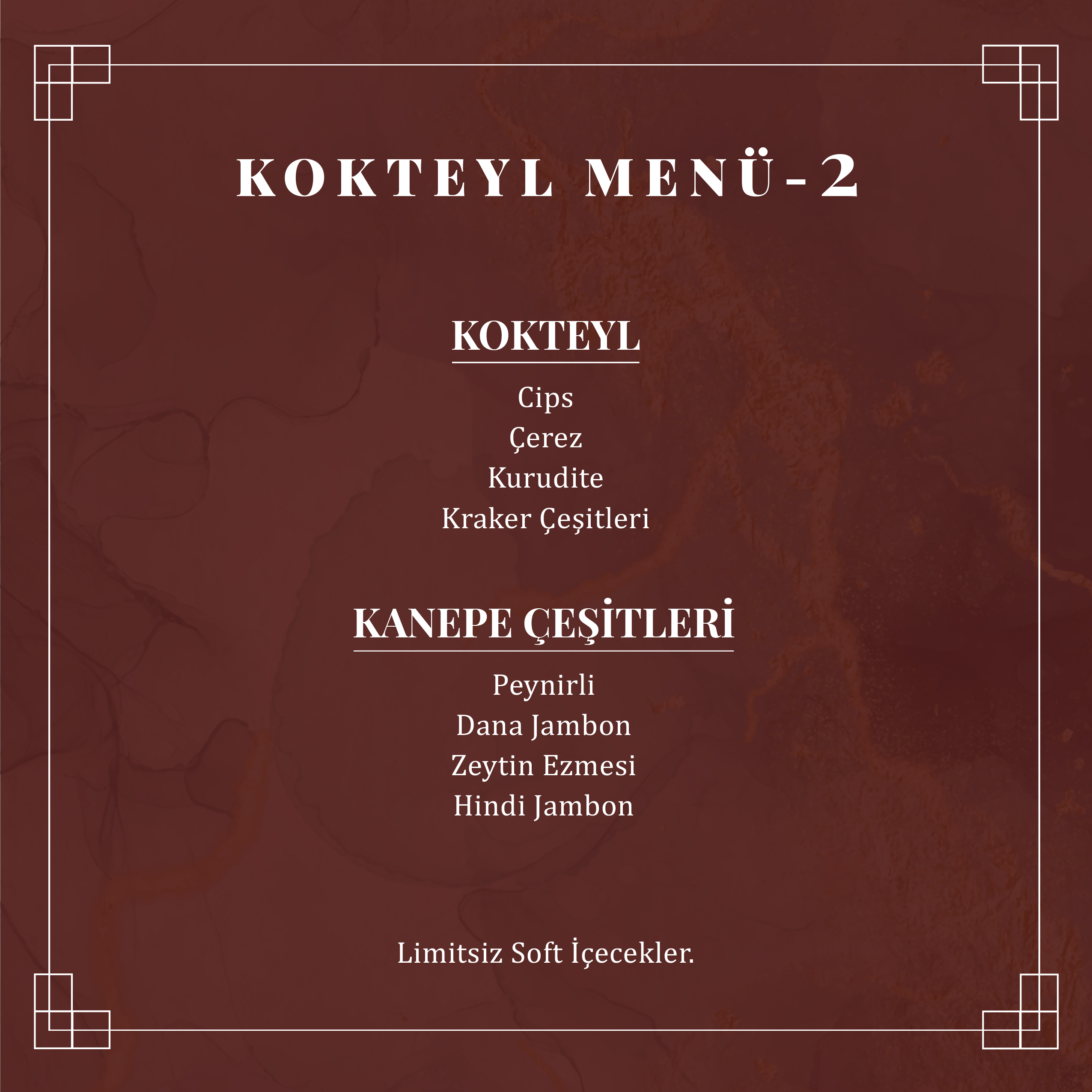 Kokteyl Menüsü 2